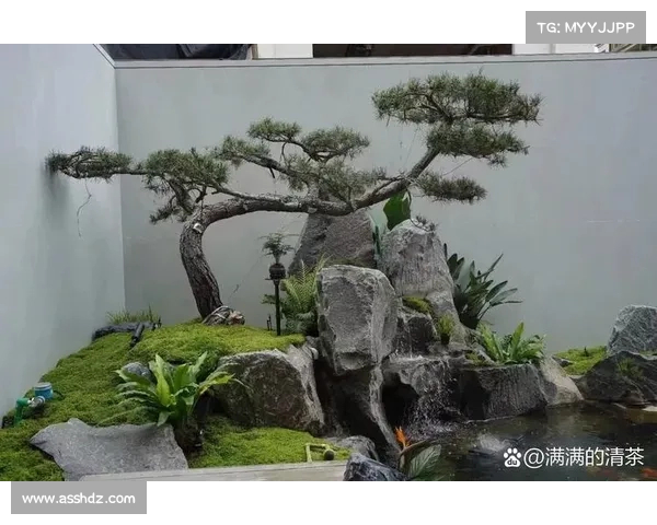 打造宁静庭院的植物选择与布局技巧让你享受自然之美 打造宁静庭院的植物选择与布局技巧让你享受自然之美