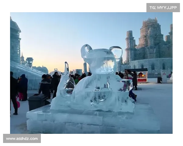 冰龙宝宝如何在冰雪世界中觉醒神秘力量并揭开古老传说之谜 冰龙宝宝如何在冰雪世界中觉醒神秘力量并揭开古老传说之谜