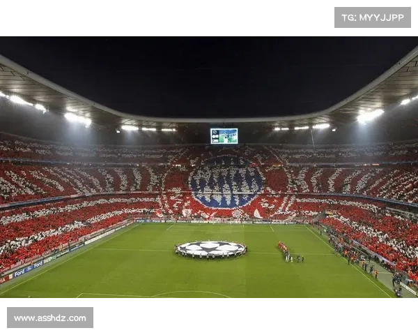 拜仁慕尼黑主场名称背后的真相揭秘与变迁历史