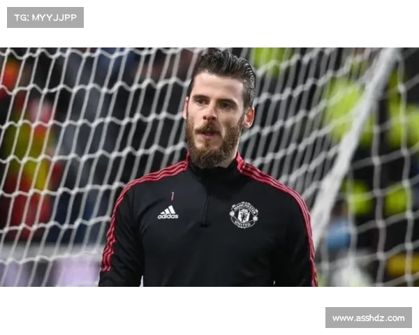 德赫亚分享与曼联队友合影展现团队默契引发球迷热议