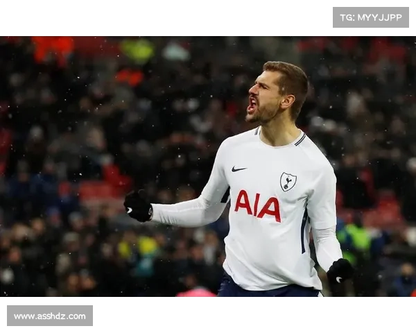 托特纳姆热刺英超赛季分析 球队实力进步与未来展望