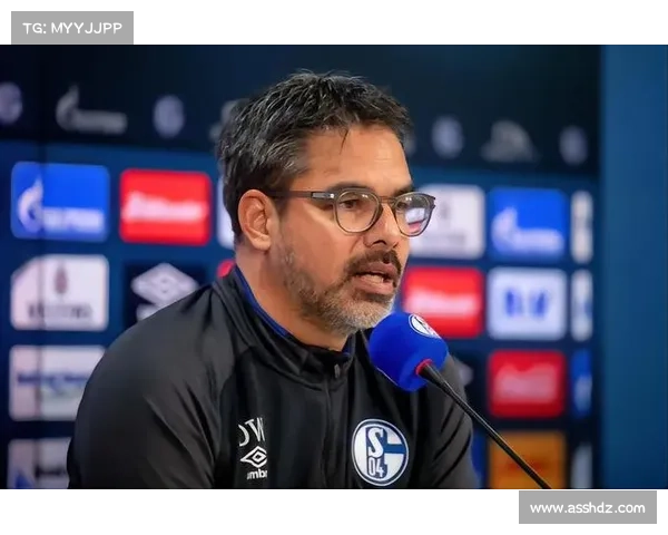 拜仁足球俱乐部未来发展方向分析与战略规划探讨