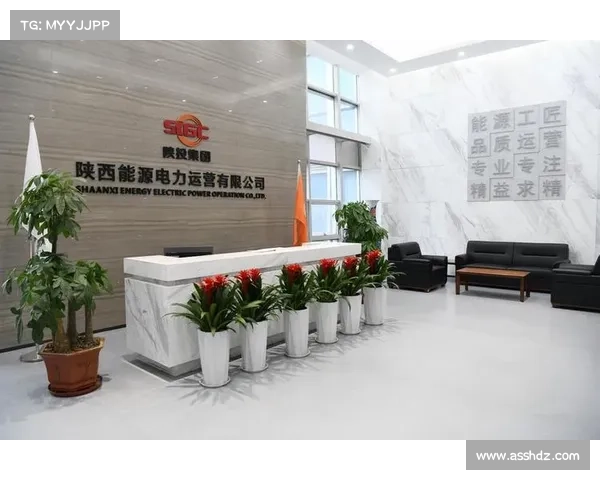 掌握足球俱乐部财务管理的关键技巧与实践策略提升运营效益