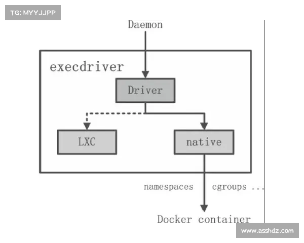 探讨斯坦福桥组织结构与管理模式的内在联系与实践影响